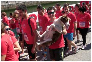 Foto 264 de la Carrera Familiar de Bilbao 2017
