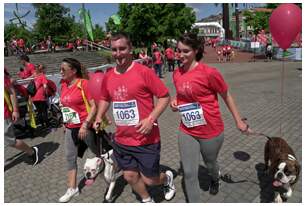 Foto 820 de la Carrera Familiar de Bilbao 2017