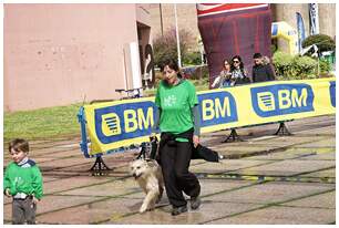 Foto 420 de las Carrera Familiar de Durango 2017