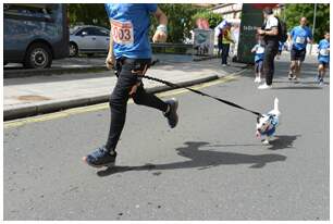 Foto 158 de las Carrera Familiar de Gallarta 2018