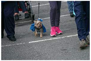 Foto 112 de la Carrera Familiar de Zierbena 2017